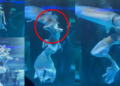 Giant Fish Attacks ‘Mermaid’ Performer at Aquarium Before Shocked Crowd in China; Rushed to Hospital