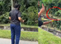 M’sian Man Poisons Ice Cream to Kill Monkeys, Netizens Outraged