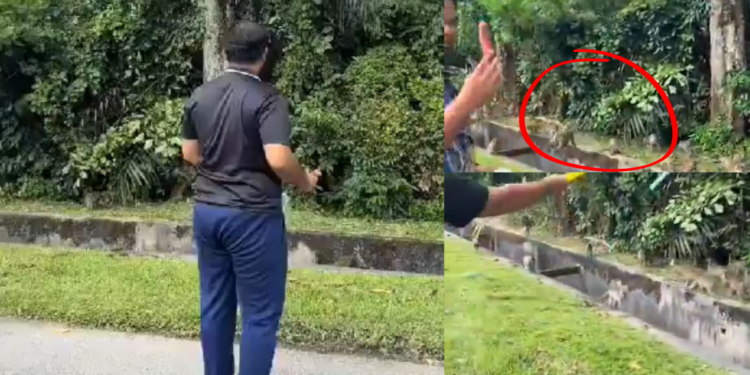 M’sian Man Poisons Ice Cream to Kill Monkeys, Netizens Outraged