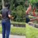 M’sian Man Poisons Ice Cream to Kill Monkeys, Netizens Outraged