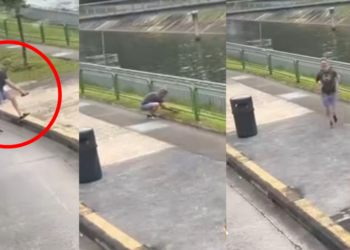 Heroic Commuter Rescues Stranded Turtle from Busy Bus Lane in Heartwarming Chinese New Year Dawn Drama!