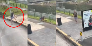 Heroic Commuter Rescues Stranded Turtle from Busy Bus Lane in Heartwarming Chinese New Year Dawn Drama!