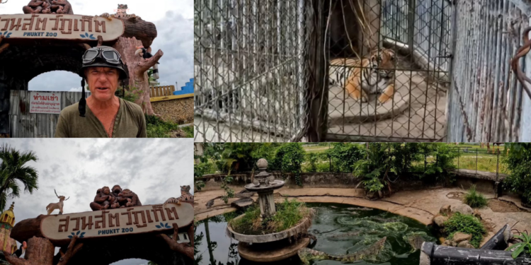 British YouTuber Uncovers Crocodiles and Tiger at Abandoned Phuket Zoo