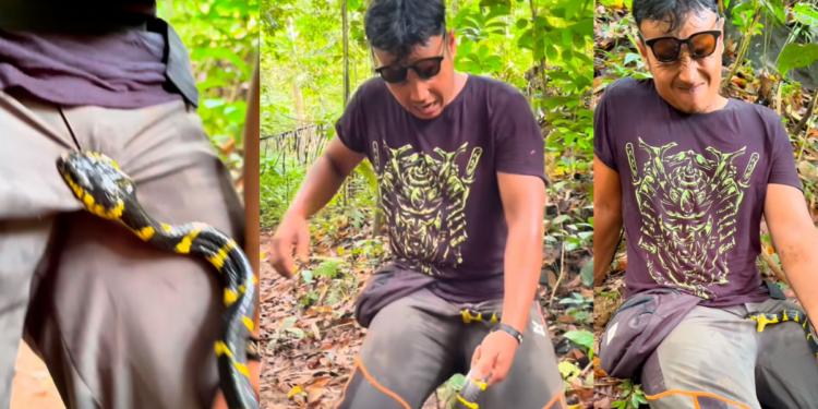 Snake Bites Indonesian Man’s Private Part, Refuses to Let Go