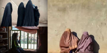 Taliban Bans Windows Facing Women’s Spaces to Prevent “Obscene Acts”