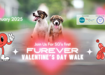 Singapore’s First Furever Valentine’s Day Walk to Celebrate the Bond Between Humans and Dogs!