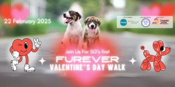 Singapore’s First Furever Valentine’s Day Walk to Celebrate the Bond Between Humans and Dogs!