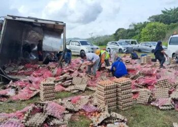 78,000 Eggs Scrambled Across Malaysia Highway After Lorry Overturns