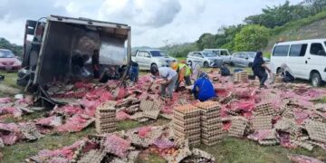 78,000 Eggs Scrambled Across Malaysia Highway After Lorry Overturns