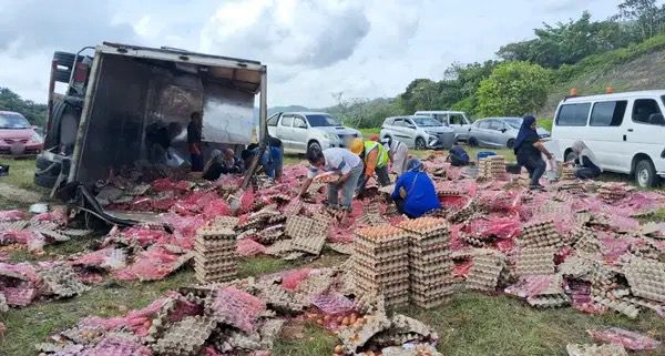 78,000 Eggs Scrambled Across Malaysia Highway After Lorry Overturns