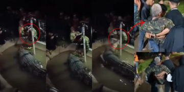 Grandfather Attacked by ‘Tame’ Crocodile at Indonesian Theme Park