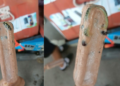 Thai Man Buys Ice Pop, Finds Frozen Snake Inside; Netizens Joke About the Discovery