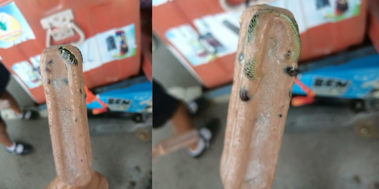 Thai Man Buys Ice Pop, Finds Frozen Snake Inside; Netizens Joke About the Discovery