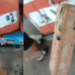 Thai Man Buys Ice Pop, Finds Frozen Snake Inside; Netizens Joke About the Discovery