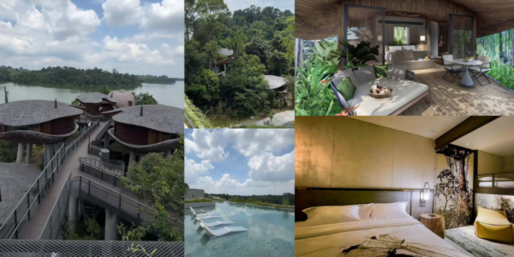 Singapore’s First Rainforest Resort Opens in April – Stay Among the Treetops!