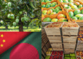 Bangladesh Set to Export Mangoes to China, Marking a New Chapter in Bilateral Trade