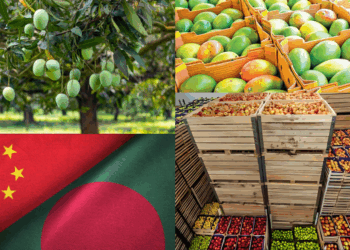 Bangladesh Set to Export Mangoes to China, Marking a New Chapter in Bilateral Trade