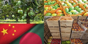 Bangladesh Set to Export Mangoes to China, Marking a New Chapter in Bilateral Trade