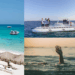 Six Russian Tourists Killed After Tourist Submarine Sinks Off Egypt’s Red Sea Coast