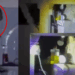 Lion Found Perched Above a Family’s Kitchen Wall, Took Nearly Two Hours to Leave