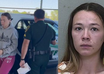 Florida Woman, 27, Arrested for Filming Sexual Activity with Chihuahua on Instagram; Released on $10K (S$13K) Bail