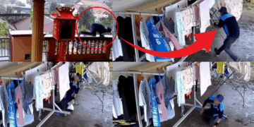 Man Arrested for Allegedly Stealing Woman’s Underwear, Including the Victim’s Late Grandmother’s