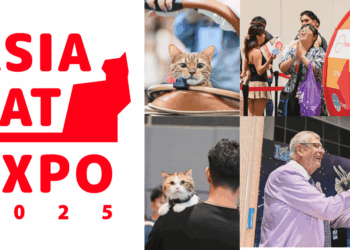 Asia Cat Expo is Back: The Largest Cat-Exclusive Event in Singapore for Cat Lovers