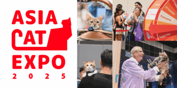 Asia Cat Expo is Back: The Largest Cat-Exclusive Event in Singapore for Cat Lovers