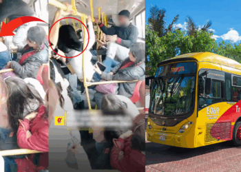 Man and Woman Caught in Physical Altercation on Bogotá’s TransMilenio Bus