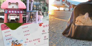 China Launches First Airport Pet Terminal in Guangzhou