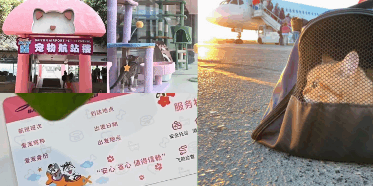 China Launches First Airport Pet Terminal in Guangzhou
