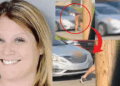Woman in Pennsylvania Arrested After Defecating on Another Driver’s Car During a Road Rage Incident