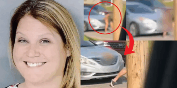 Woman in Pennsylvania Arrested After Defecating on Another Driver’s Car During a Road Rage Incident