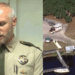Canoeing Turns Deadly When Alligator Kills Woman in Florida Lake