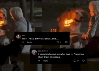 “He Loves His Human More Than Himself”: Dog Seen Looking at Grandma Instead of Birthday Cake in Viral Video