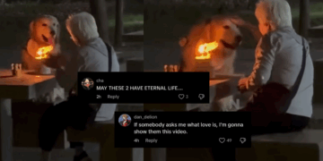 “He Loves His Human More Than Himself”: Dog Seen Looking at Grandma Instead of Birthday Cake in Viral Video