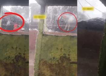 Terrifying Storm in India: Roof Blown Away with Children Clinging Onto It
