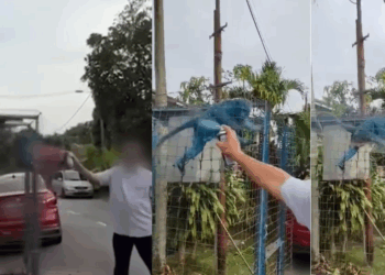 M’sian Man Arrested for Spray-Painting Blue Paint on Caged Monkey