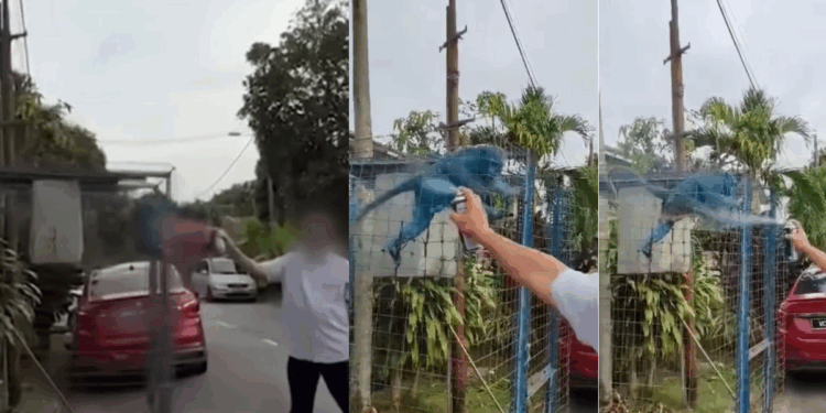 M’sian Man Arrested for Spray-Painting Blue Paint on Caged Monkey