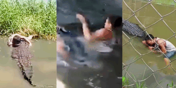Man, 29, Mauled by Crocodile at Philippines Zoo After Mistaking it for a Statue