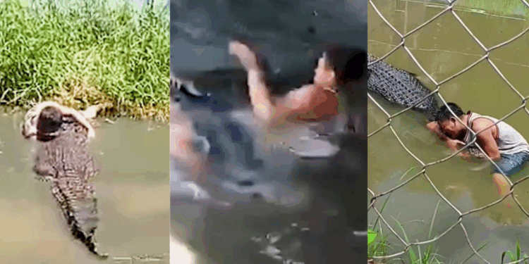 Man, 29, Mauled by Crocodile at Philippines Zoo After Mistaking it for a Statue