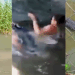 Man, 29, Mauled by Crocodile at Philippines Zoo After Mistaking it for a Statue