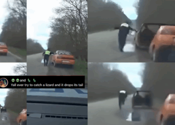 “Split Second Getaway”: Russian Motorist Escapes Cop by Driving Off in Half a Car