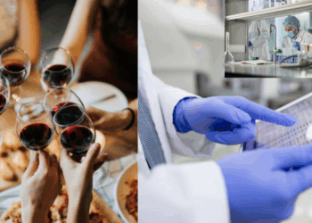 Spain Seeks 10,000 Volunteers to Drink Wine Daily for Four Years to Study Health Effects