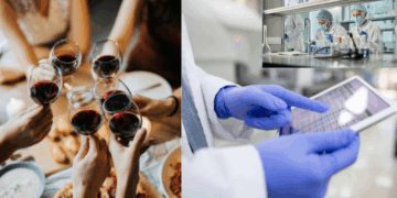 Spain Seeks 10,000 Volunteers to Drink Wine Daily for Four Years to Study Health Effects