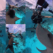 Close Call: Diver Swarmed by Sharks While Filming in Australia’s Coral Sea