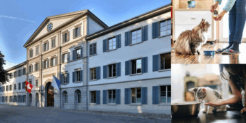 Swiss Woman Taken to Court for Feeding Neighbor’s Cat