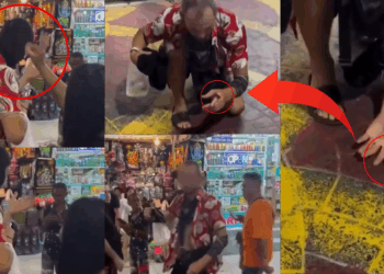 Good Deed Gone Awry: Tourist’s Pet Cockroach Causes Stir on Thai Street