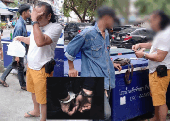 Woman Arrested in Pattaya After Attempting to Buy Drugs from Undercover Cop