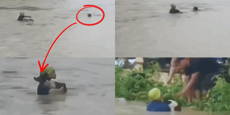Brave Man Saves Drowning Dog During Manipur Floods